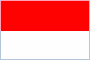 Flag INA