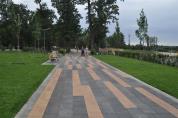 dsc 0075