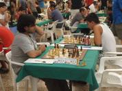 magistral 22