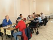 dudestii noi-baia mare2