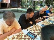 IMG 4734