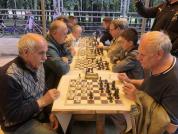 IMG 4764