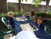 IMG 20190803 111301