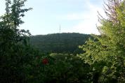 img 0884