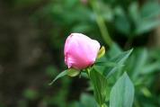 img 0889