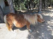 img 4782
