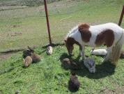 img 4783