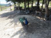 img 4785