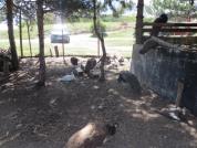 img 4786