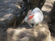img 4787