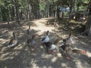 img 4788