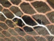 img 4791