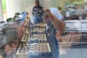 img 4295
