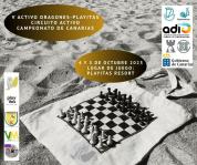 Cartel Activo Dragones-Playitas 2025