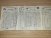 F10 r3.1 Sunea-Isopescu                                                                             