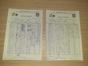 F10 r7.8 Mihaila-Popa Bochis                                                                        