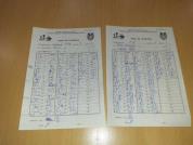 F10 r9.5 Ferentiu-Isopescu                                                                          
