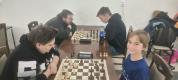 IMG20250106134951                                                                                   