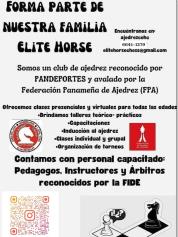 Flayer Elite Horse                                                                                  
