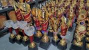 Trophies 4                                                                                          