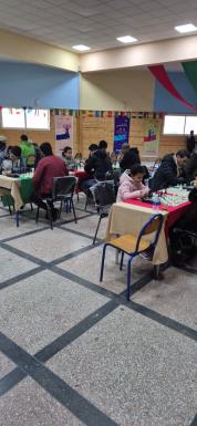 WhatsApp Image 2025-12-27 at 17.37.46                                                               