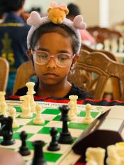 WhatsApp Image 2026-03-01 at 22.43.55 (3)                                                           