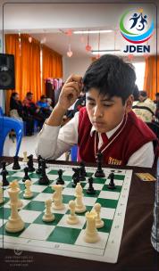 202606 JDEN VERT-11                                                                                 